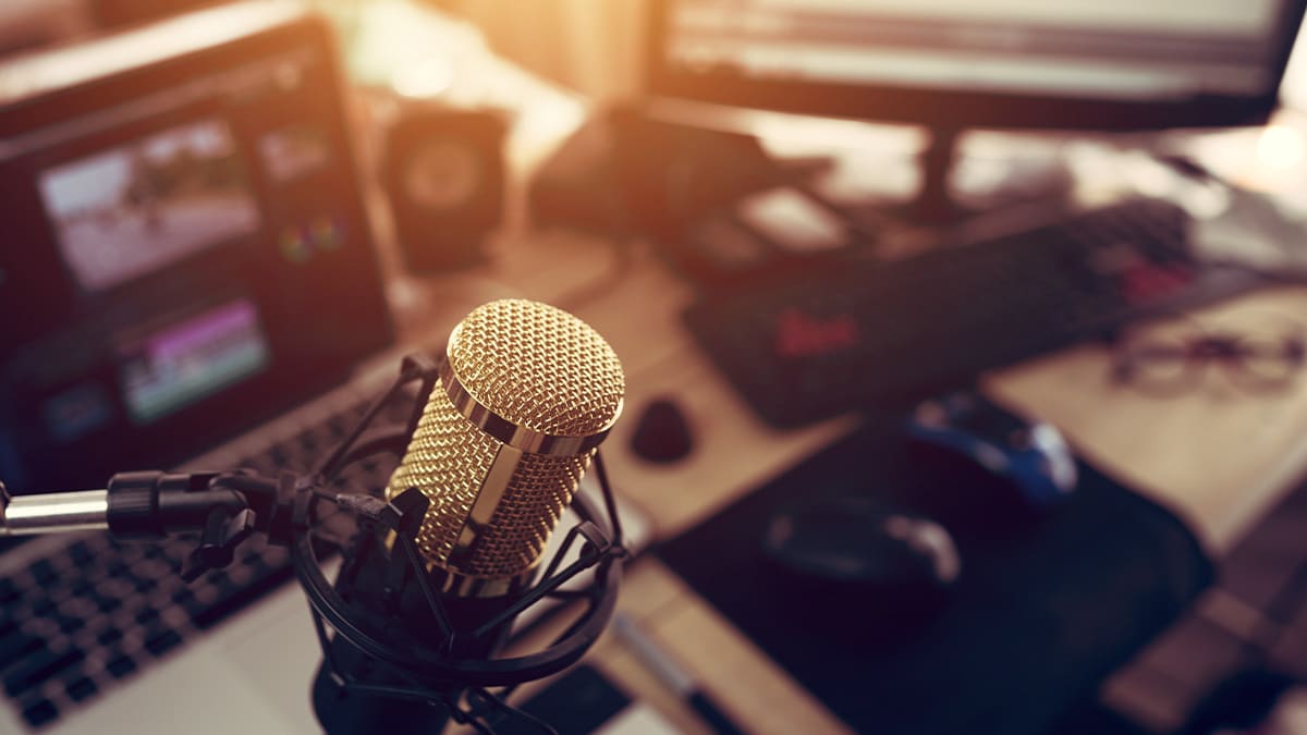 Discover diverse creator niches thriving within Ohio&rsquo;s digital entertainment landscape.